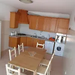 Casa Do Zé Manel - T2 Com Bbq E Terraços * Altura